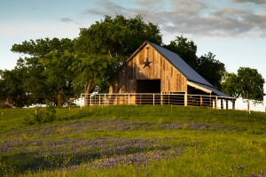 barn needing Farm And Ranch Insurance