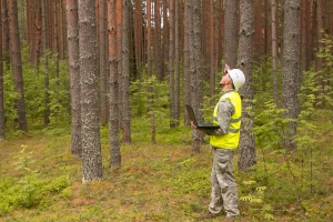 engineer in woods having Forestry Insurance