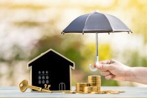 Personal Umbrella Insurance demonstrates with small home