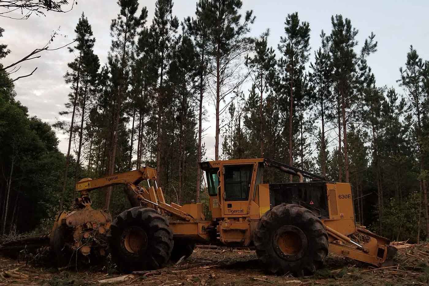 A Knuckle Boom Loader Covered By Forestry Insurance