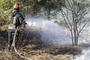 fire fighter controlling fire in forest with water spray