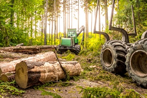 harvester (heavy forestry vehicle) working in the european mixed forest
