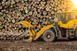 jcb during forestry work