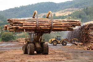 log loader and operations in the log yard at a conifer log mill near roseburg oregon