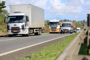 cargo trucks in highway
