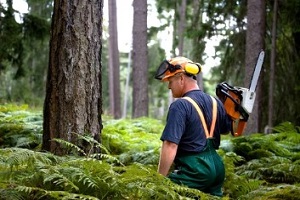 logger with chainsaw in forest
