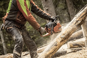 lumberjack working safely with chainsaw and protection equipment inside an Italian forest