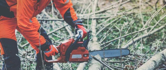 lumberjack working safely with chainsaw and protection equipment inside an Italian forests