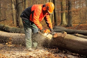 man cutting wood log with chainsaw