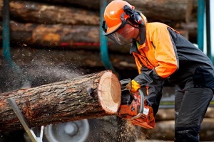 man cutting wood log