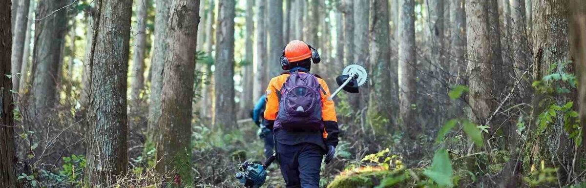 Seven Risks That You And Your Forestry Workers Face