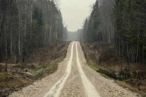road in forest with rainy weather