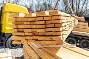 wood logs in lumber yard