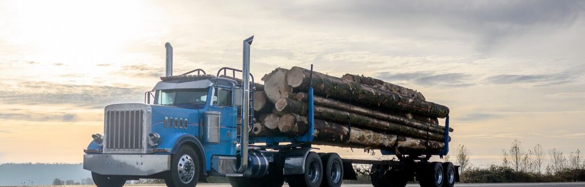 Exactly What Is Covered By Logging Truck Insurance?