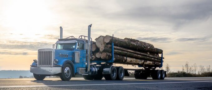 blue semi truck transporting cut logs driving on the road with sunsets