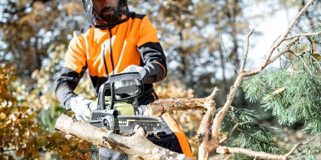 lumberman in protective workwear sawing with a chainsaw branches from a tree trunk in the forest