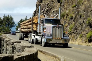 truck loaded with wood logs
