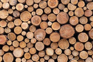 wood logs