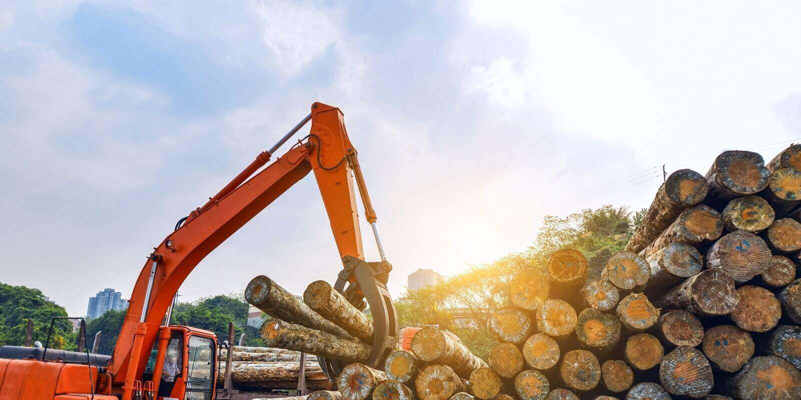 The Most Prevalent Liabilities Within The Logging Industry Burton