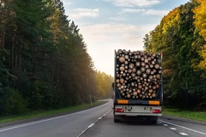 truck taking wood logs