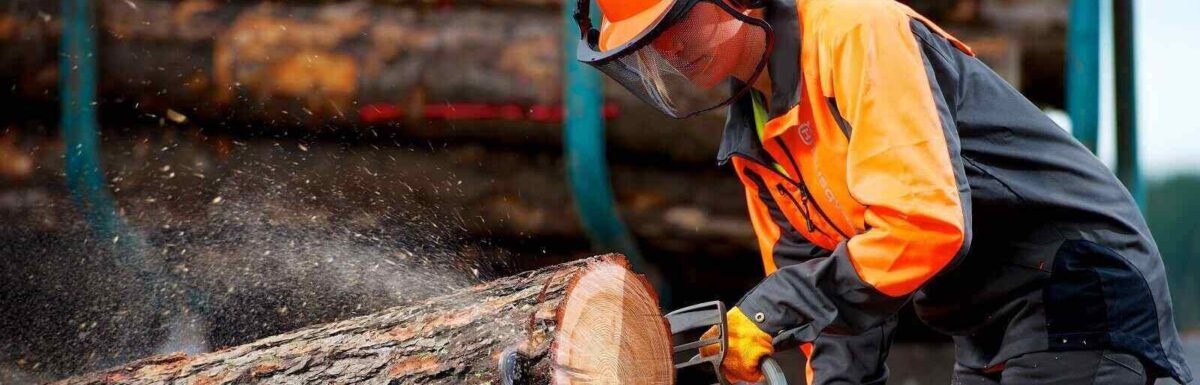 Types Of Specialized Insurance Policies For Forestry, Logging & Sawmill Organizations