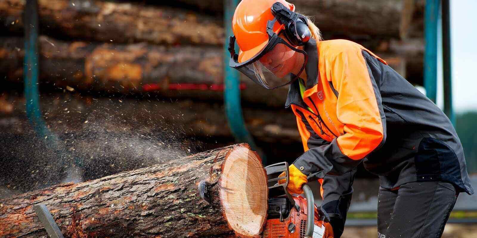 Types Of Specialized Insurance Policies For Forestry Logging