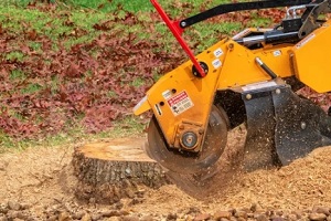 wood tree grinder