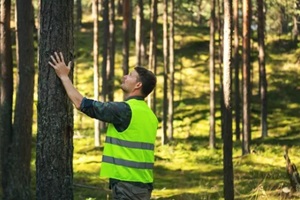 forest engineering and management, renewable resources