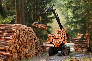 lumberjack with modern harvester working in a forest