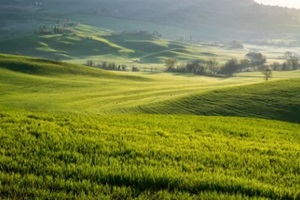 amazing spring landscape with green rolling hills and farm houses in the heart of Tuscany in morning haze