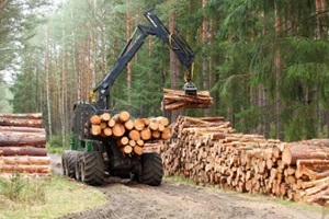 harvester working in a forest