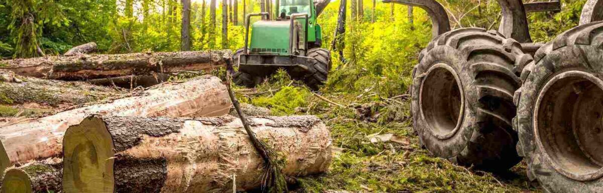 Navigating Liability in Forestry: A Comprehensive Guide for Equipment Owners