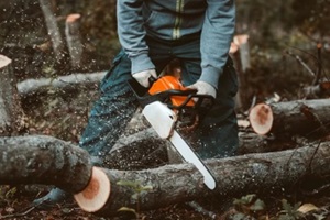 a man sawing a tree with a chainsaw