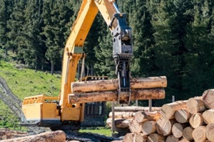 swing loader picks up pine logs to stack onto a logging truck at a forestry site