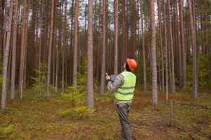 ecologist works in the forest with a computer