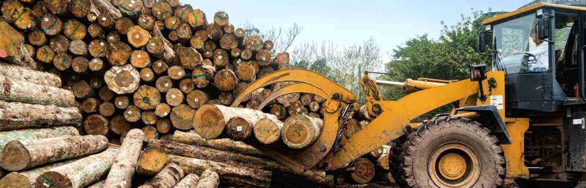 Improving Your Forestry Insurance With a Professional Risk Assessment