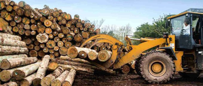 forklift truck grabs wood in a wood processing plant