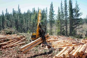 heavy logging machine lifting big wood logs