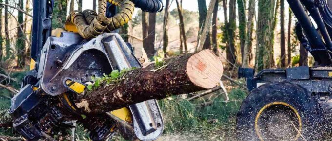 machine for cutting tree trunks used in the forestry industry