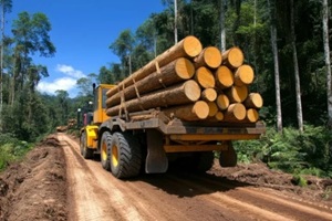 log transport truck