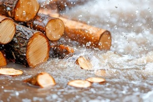 wood logs flowing in rain water