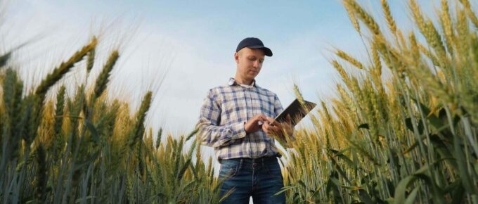 young farmer works with a digital tablet in a wheat field