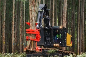 a big log machine in forest