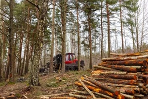 red tractor is doing logging work in the forest