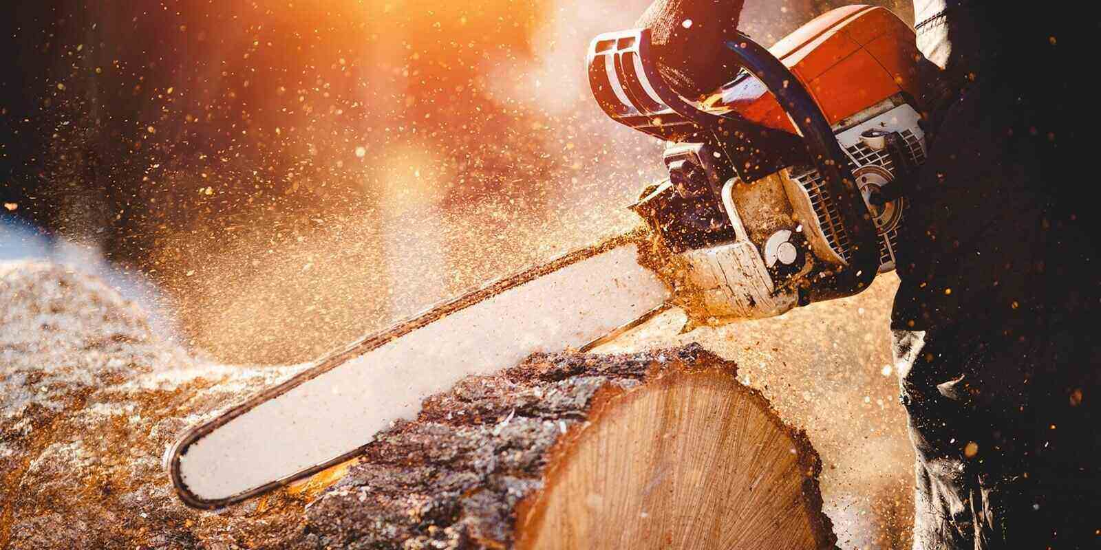 close-up of woodcutter sawing chain saw in motion, sawdust fly to sides