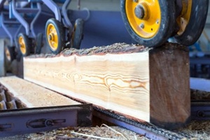 automatic line sawing