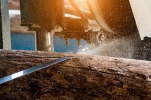 industry sawing boards from logs