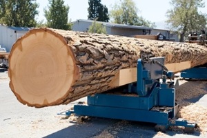 large log being processed by industrial sawmill