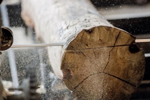 sawing boards from logs