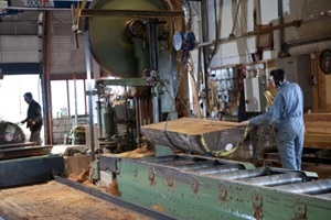 people working at a sawmill
